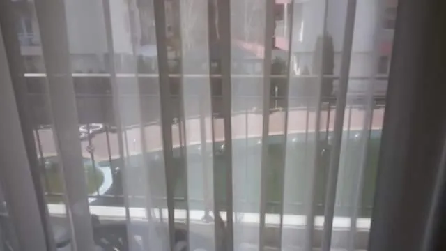 Svetla Νεσέμπαρ