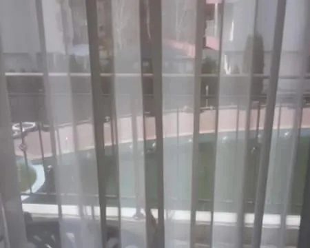Svetla 内塞伯尔